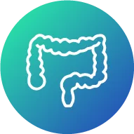 chirurgie proctologique